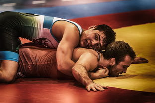 开云体育俱乐部官网-格斗UFC：超级对决燃爆擂台，精彩不断！，格斗比赛ufc